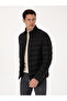 Black Thin Quilted Coat 50319255-Vr046 - 3