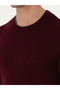 Claret Red Slim Fit Cotton Blend Crew Neck Sweater 50318676-Vr014 - 7