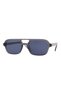 Hector Gray Unisex Sunglasses