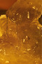 Milk & Honey Gold Nourishing Hand & Body Cream New Packaging - 4