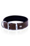 Comfort Leather Bone Decorated Dog Collar Tr-Large-Brown-4X57-65 cm - 3