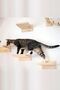 Natural Wood 3 Lucei Climbing Wall Ladder - 3
