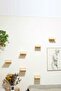 Natural Wood 3 Lucei Climbing Wall Ladder - 2