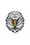 Eagle Sticker 10X10 cm Colorful Sticker