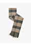 Tasseled Plaid Long Scarf