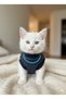 Cat Outfit Hologram Glitter Necklace Detailed Sweatshirt