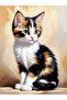 Vibrant Splash Kitten Poster Print – Cute Cat Artwork for Kids Room & Home – 40x60cm