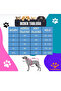 Christmas Dog Outfit Cat Outfit Hogwards Themed - 5
