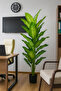 Artificial Dieffenbachia tree. 1.7 meters tall, ideal for offices and rooms as a decorative element. - 4