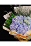 Blue Hydrangea Bouquet - 8