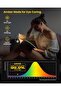 Horizontal ET-Head Book Light for Reading in Bed - 2