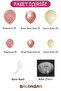 Balloon Set 105 Pieces (Rosewood-Chrome Rose Gold-Sea Sand) - 2