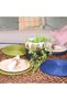 Passionflower Green Color Rattan Wall Decoration & Supla Set of 6 35 cm - 3