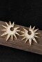 Gold Color Stone Detailed Earrings (Pair)