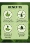 Rosemary Mint Scalp & Hair Strengthening Oil - 6