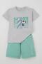 Boy's Shorts Set Summer Themed Surfer Puppy Printed 2-6 Years, Light Gray Melange