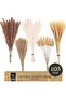 105 Pcs Natural Pampas Grass Decor, 17in/45cm Dried Flowers for Home Boho Decor