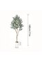 5.9FT Artificial Olive Tree - Tall Faux Plant with Realistic Leaves for Office - 3