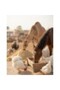 Fujairah Animal Feed – Premium All-Natural Granular Nutrition – 20 kg Bag - 7