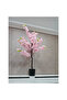 Cherry Blossom 120cm - 3