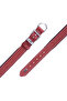 Comfort Leather Paw Patterned Dog Collar Red-Large-4X57-65 cm - 4