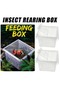 10x Feeding Box Reptile Cage Hatching Container Rearing Tank Clear Reptile Vivarium Terrarium Ins... - 7