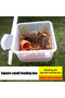 10x Feeding Box Reptile Cage Hatching Container Rearing Tank Clear Reptile Vivarium Terrarium Ins... - 4