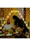 Ramadan Lights, Moon Star Fairy Hanging String Lights, 8 Modes - 5