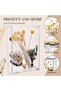 Clear Acrylic Shadow Box Frame (9 x 12'') - DIY Memory Display - 3
