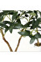 182cm (6ft) Fake Olive Tree Bendable Branches PE Foliage Indoor Outdoor Hotel Decor. - 7