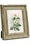 Antique Line Picture Frame 5x7 Green (Green & Gold, 5x7)