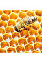 Vita Propolis Antioxidant Mask 30 Ml - 7