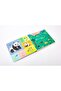 Let’s Go Home Baby Panda - 2
