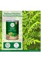 Moringa Powder - 4