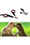 Pet Dog Grooming Scissors - Nail Clipper Trimmer (Black) - 6