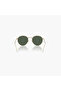 Round Reverse 55MM Green Oval Sunglasses - 0RBR0103S - 6