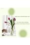 Thickened Clear Glass Vases Set of 2 Cone Vases (Transparent) - 6