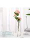 6 Pcs Glass Bud Vases for Centerpieces, Clear, 7.87 Inch - 4