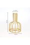 Flower Vase with Iron Art Frame, Metal Geometric Clear Glass (Gold, 1PC) - 8
