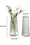 Thickened Clear Glass Vases Set of 2 Cone Vases (Transparent) - 2
