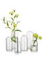 Glass Bud Vase Set, Clear Cylindrical Small Flower Vases, Set of 6 (17.5/14.5/9.5cm)