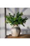 Ceramic Decorative Flower Vase 6 Inch Rustic Farmhouse Boho - Brown - 3