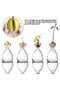 2pcs Small Avocado Seed Starter Vase Avocado Tree Growing Kit (2pc) - 2