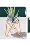 Glass Vase with Metal Stand - Gold Geometric Small Hydroponic Terrarium Vase - 5
