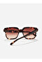 Euphoria - Carey Terracota Sunglasses - 5