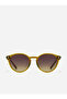 Salt - Pistachio Moss Sunglasses - 2