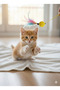 Zilli Cat Fishing Rod and Colorful Feather – Fun Interactive Cat Play Stick - 3