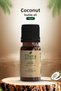 100% Pure Coconut Oil 10 ml – Cocos Nucifera (Natural & Pure Content)