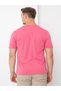 Basic Neck Tshirt - 5