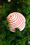 Premium Collection Luxury 20 cm Candy Ball Ornament Decorative Christmas Ornament - 4
